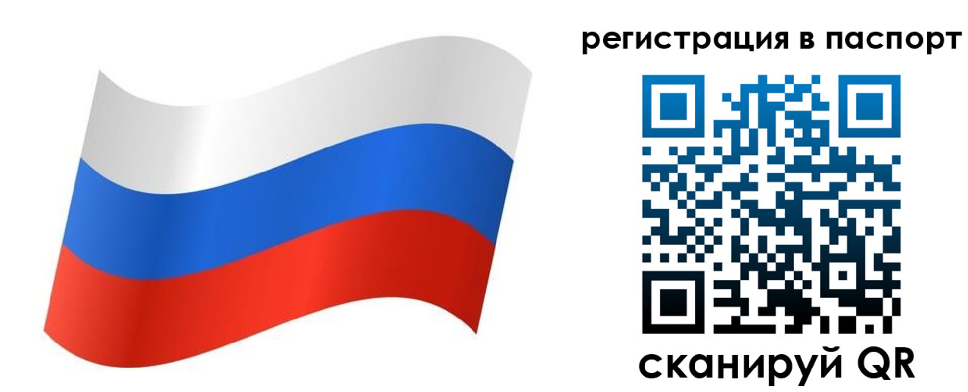 найти адрес прописки в Долгопрудном
